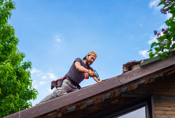 Best Roof Moss and Algae Removal  in Phoenix, NY