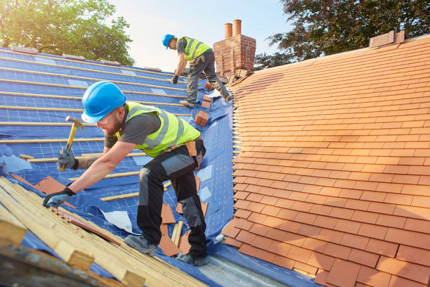 Best Sheet Metal Roofing  in Phoenix, NY